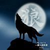 狼t0