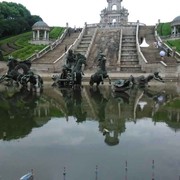 斌co