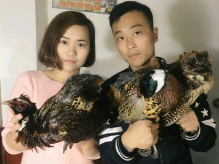 ╭(╯梦义哥＠♥♥的主播照片