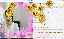 海鸽晚上晚会播主播照片