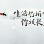 憧憬的伈的头像