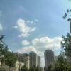 刺眼6n海报