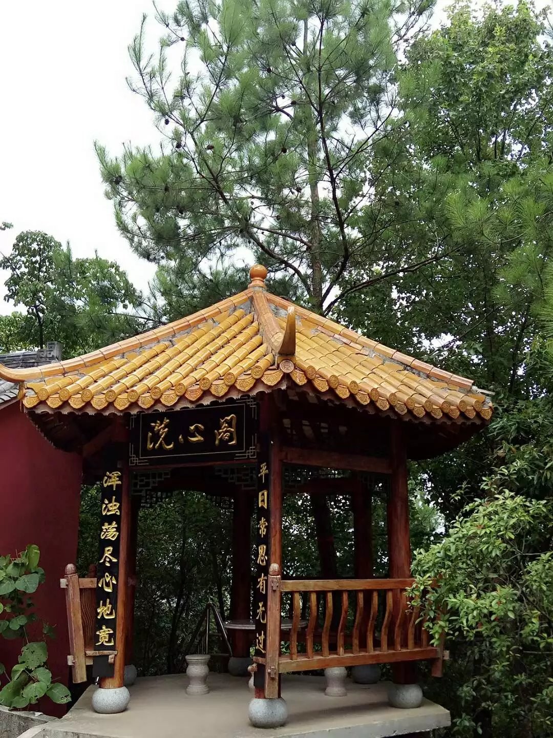 |▌ゞ贫僧法号小胖的主播照片