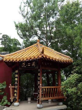 |▌ゞ贫僧法号小胖主播照片