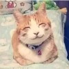 你若安好...那还得