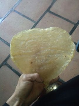 龍凰公子豪主播照片