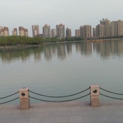 王老五eq