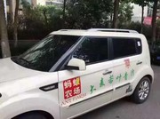 动p$海报