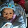 依赖１棵草っ!海报