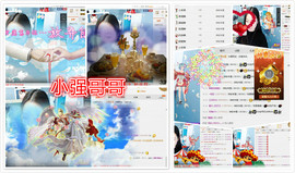 雷诺/主播照片