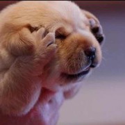 Huuuuuu.海报