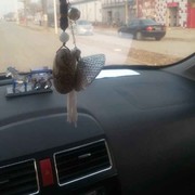 天师苦缠绵