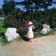 昵称违规，请重新修改的头像