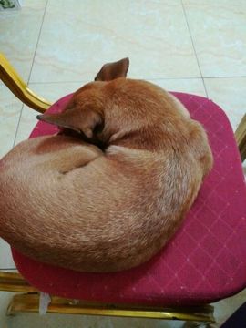 无所谓，你随意主播照片