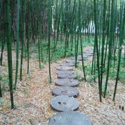 自由自在ty