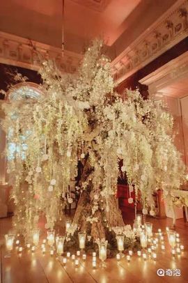 ✨媳婦⭐求🌙帶走✨主播照片