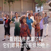 瑶瑶是兔兔