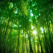 缘定今生无悔人生