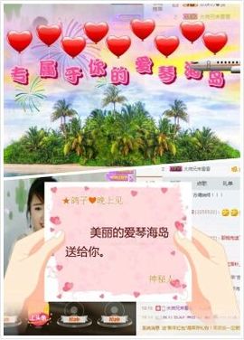 海鸽晚上晚会播主播照片