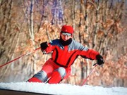 冰雪王爷