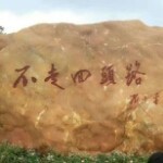 此栏省略主播照片