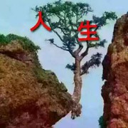 顺其自然dlm
