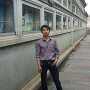 ＆森林＆海报