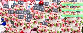 魅丽晴儿主播照片