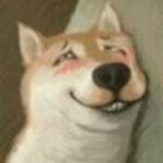 晨曦℡