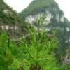 孤独剑7x海报