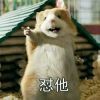 @章鱼