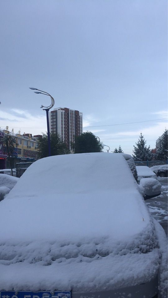 风中的风铃的图片