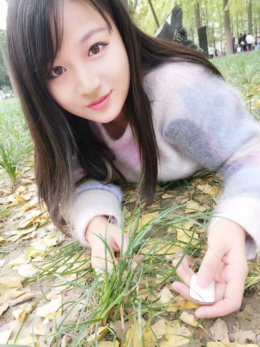 风中的风铃的图片