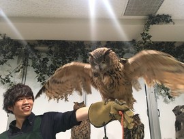 習慣有妮主播照片