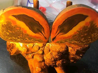 群鸽之首的主播照片