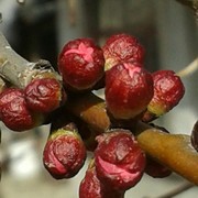 哥只是个传说yj