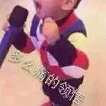 追青感月