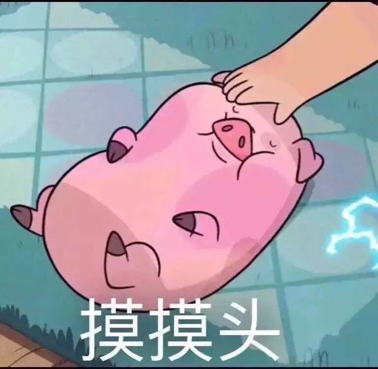 ♥一只胖喵♥的主播照片