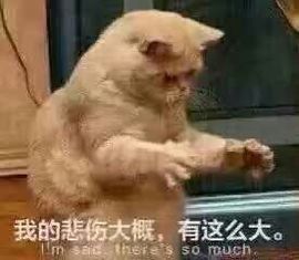 农民朱元璋主播照片