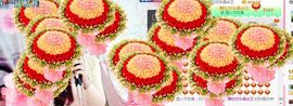 你的冰心回来了主播照片