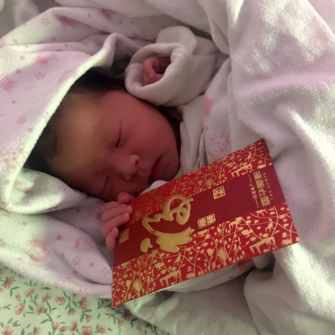 你的小菜比💘主播照片