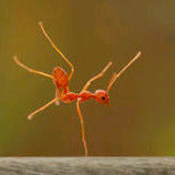 鳕的快乐时光的主播照片