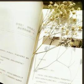 word优从心开始主播照片