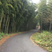 要整哪样海报