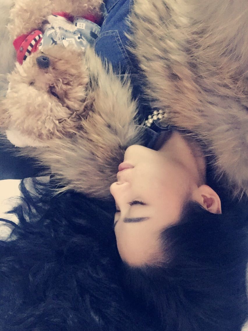 风中的风铃的图片