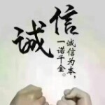 闪亮登场别找了海报