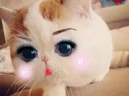 醉，可爱主播照片