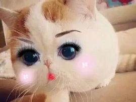 醉，可爱主播照片