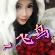 alu飞鸟