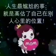 人生若只如初见o